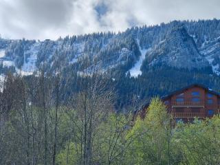 Ambiance chalet et belle terrasse - Thollon - 2