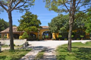 Agriturismo La Montina - Ponti Sul Mincio - 7