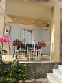 Agathis - Kassiopi - 8