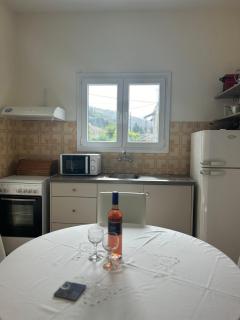 Agathis - Kassiopi - 3