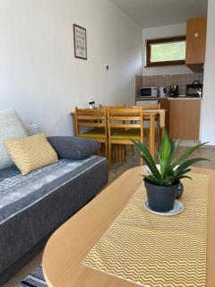 Apartmán Karo, Oščadnica - Oščadnica - 1
