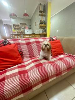 AP+preço popular+ar condicionado+internet 300mb - 6