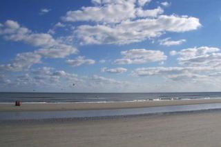 Beach Bliss 2 Bedroom Oceanview Free bikes/chairs! - Hilton Head Island - 8