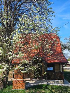 Brvnara ispod stare kruške - 9