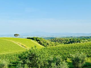 Libertas Tuscan Hideaway - San Sano - 2