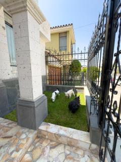 Casa Vallecito - Arequipa - 6