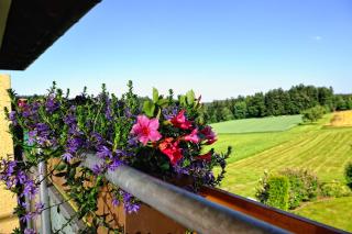 Landhotel Talblick - Neuweiler - 4