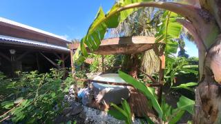 Kaz Créole Aventure Tropicale Insolite, Fibre, Jardin et Jacuzzi Privés - Saint-François - 7