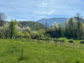 Apartman Quince - Mojkovac - 1