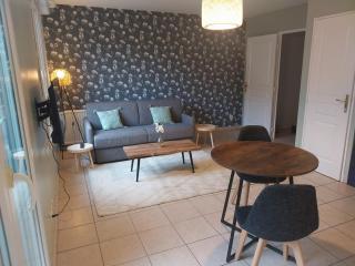 L'Aquarelle - Appartement cosy, GroupamaStadium LDLC Arena - Meyzieu - 6