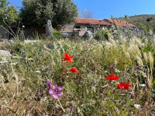 Villa Panorama - Grebaštica - 1