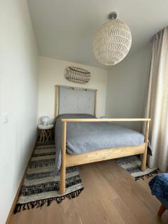 Vanagupės Apartamentai - Palanga - 7