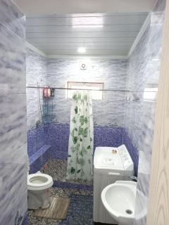 Nigormuseum Guest house - Nukus - 1