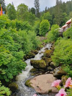 MY HOME AM HEUBERG Nr 6 - Frittlingen - 8