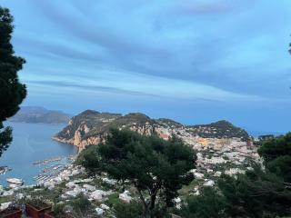 La Casa nel Bosco - Capri - 1