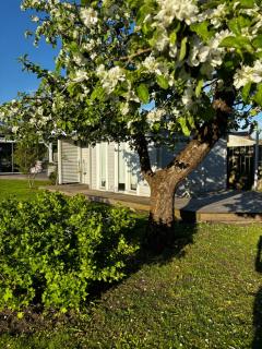 Breeze Residence Gardenhouse - Pärnu - 0