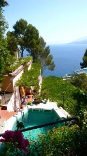 La Casa nel Bosco - Capri - 2