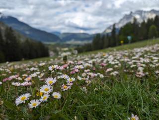 Alpinum Hostel Biberwier - Günstige Privatzimmer in der Zugspitz Arena - 8