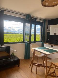 Appartement 2 Château La Rose des Vents - Puisseguin - 4