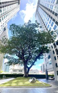 The base Central 343 by Numam - Pattaya - 7