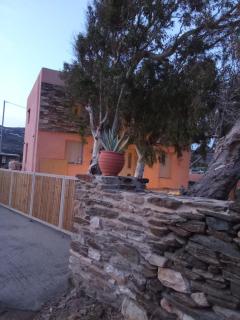 Blue Agave - Agios Sostis - 8