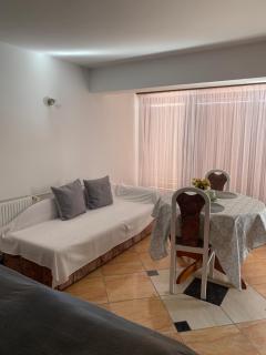 Apartment Villa Ana - Opatija - 8