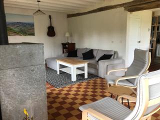 Gîte aux ânes avec Spa - Menetou-Râtel - 5