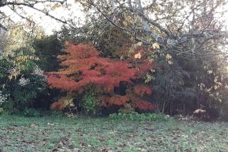 Maison de caractère - 4