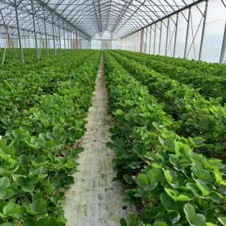 Urlaub zwischen Nord- und Ostsee - Leck - 5