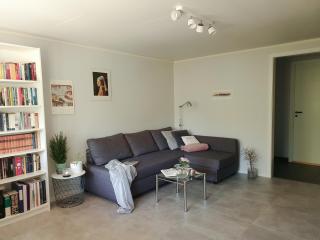 Tranquil Apartment in Picturesque Neighborhood - Oslo - 5