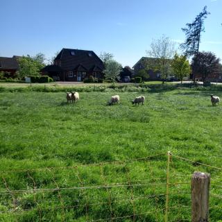 Urlaub zwischen Nord- und Ostsee - Leck - 6
