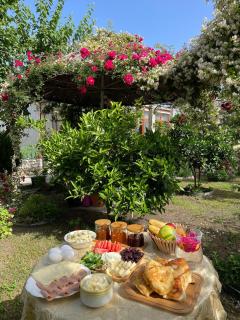 Guest House Miracle Garden - Vlorë - 4