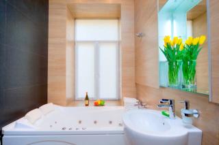 Studio with spa at Mykhailivs'kyi In - Kiev - 3