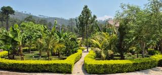 Tinyhouses and Tropical Gardens - Zambrano - 1