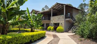 Tinyhouses and Tropical Gardens - 9