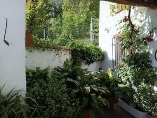 Casa La Mecila - Bubión - 9