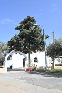 Anezina Cretan hospitality - Heraklion - 5
