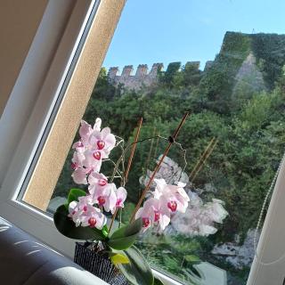 Rose Apartment - Jajce - 6