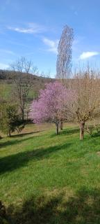 Maison de vacances authentique - Castelnau-Montratier - 6