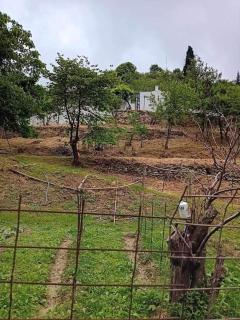 Ktima Taladianou Country House - - 0