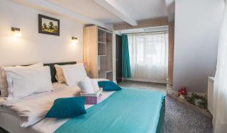 Anelisse Inn - Moieciu de Sus - 8