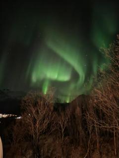 Leirvåg - Bukta - 4