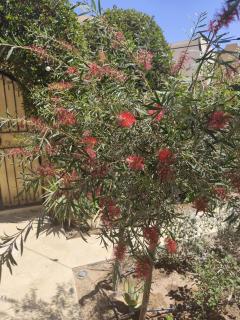 Villa Makadi Heights - Hurghada - 7