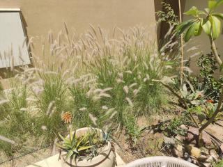 Villa Makadi Heights - Hurghada - 2