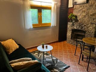 Party and vacation house Amigo - 2