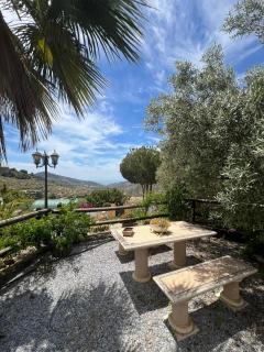 Los Olivos - Málaga - 4