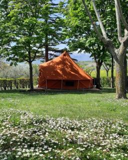 Glamping Marche Nascoste Tenda e intero alloggio - Penna San Giovanni - 5