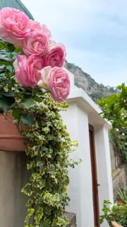 Il Cigno B&B - Capri - 0