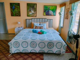 Ravita Cove HomeAway from Home HomeStay - Matacawalevu - 4