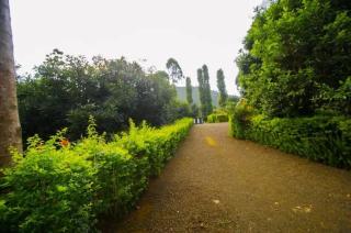 Bangata eco homestay - 3
